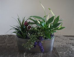 411 Planted Arrangement